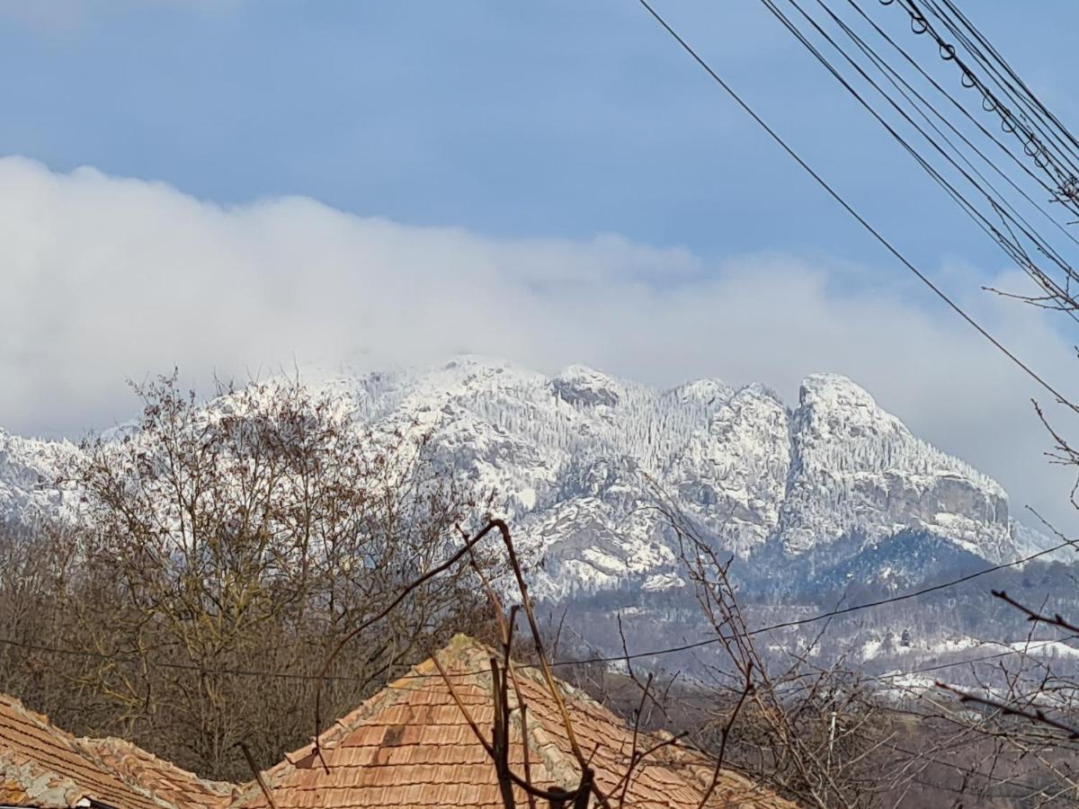 Casa Hera Călimăneşti Dış mekan fotoğraf