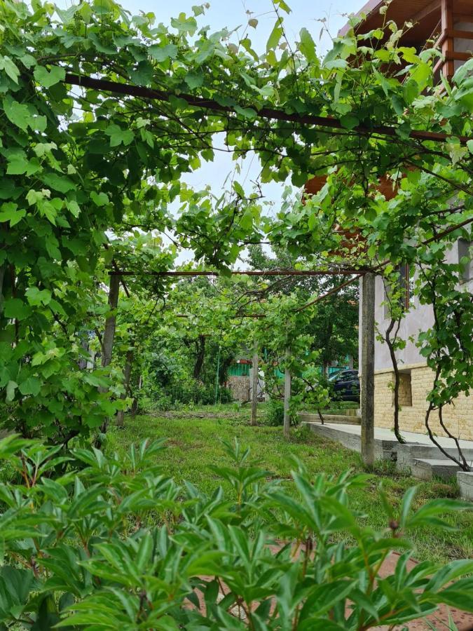 Casa Hera Călimăneşti Dış mekan fotoğraf