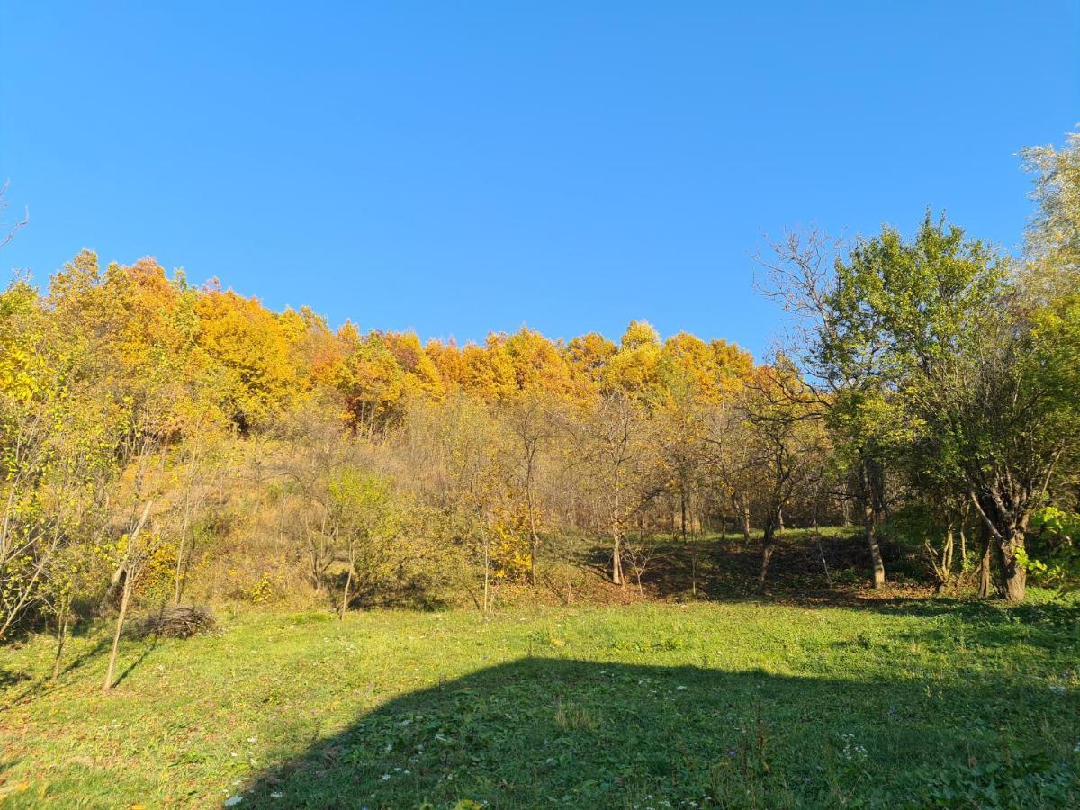 Casa Hera Călimăneşti Dış mekan fotoğraf
