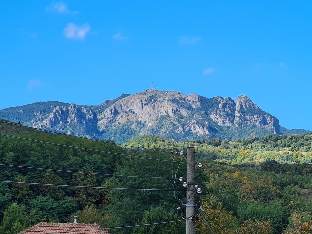 Casa Hera Călimăneşti Dış mekan fotoğraf