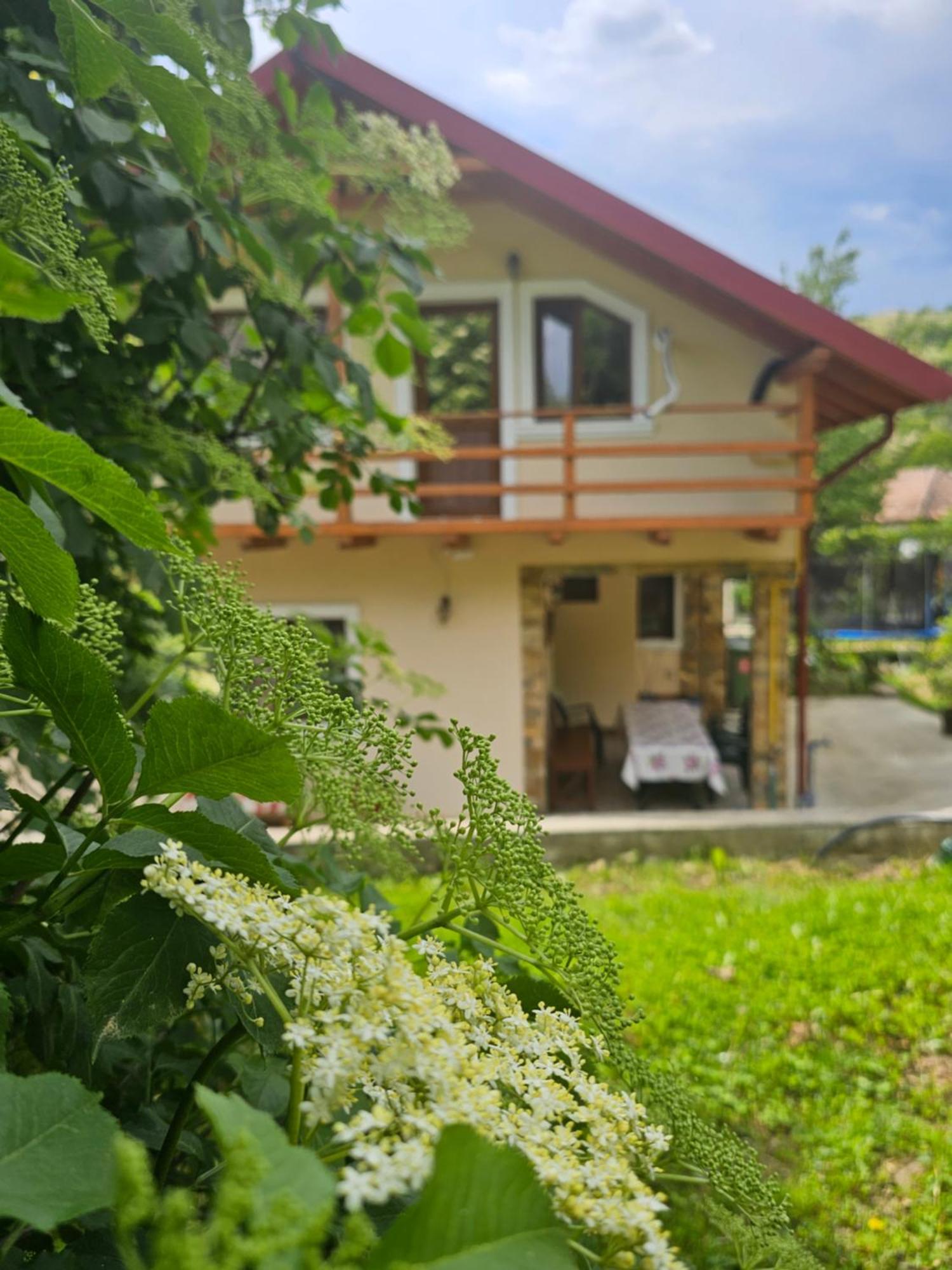 Casa Hera Călimăneşti Dış mekan fotoğraf