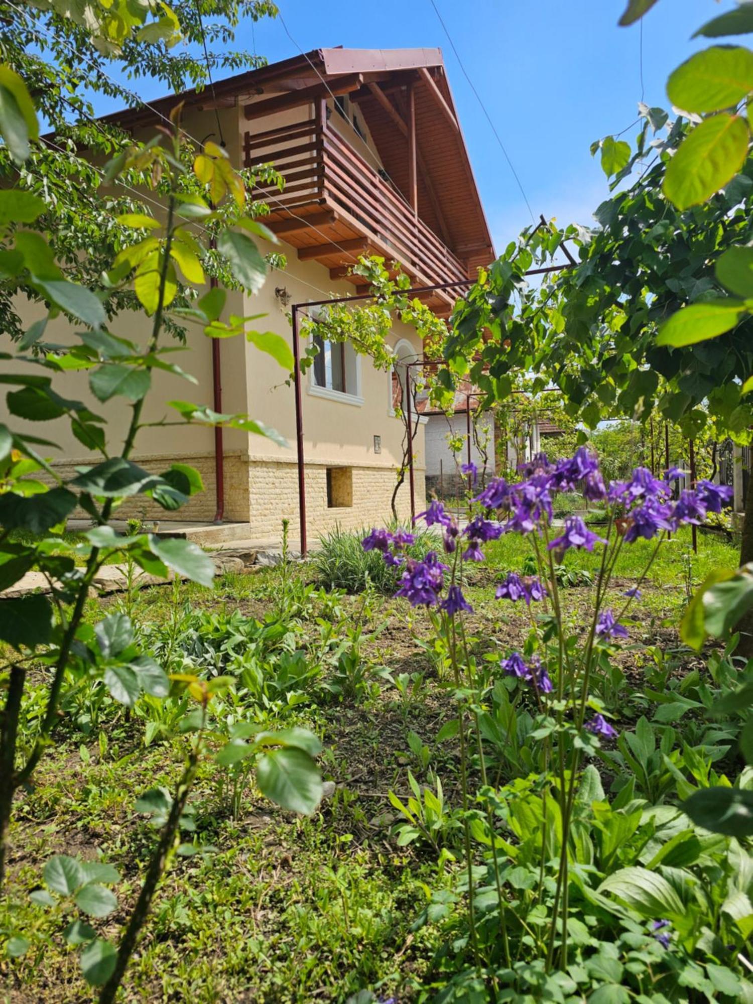 Casa Hera Călimăneşti Dış mekan fotoğraf